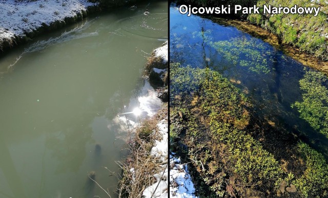 O kontrole prosili mieszkańcy Ojcowa robiąc fotograficzne interwencje i pokazując stan rzeki Prądnik za oczyszczalnią i przed nią