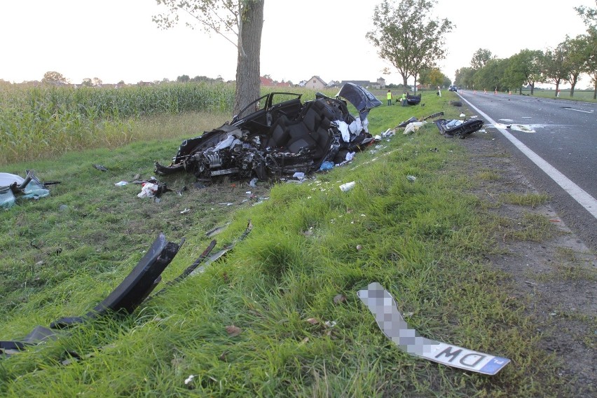 Śmiertelny wypadek koło Pabianic. Wypadek na DK 71 w Gospodarzu koło Łodzi. Informacje policji ws. śmierci kierowcy 13.09.2019