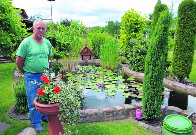 ROD „Przylesie”  Ryszard Mały nie tylko pracuje na działce, ale opiekuje się całym ogrodem