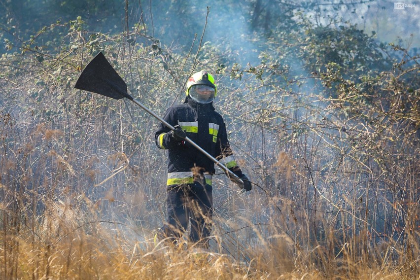 Akcja straży pożarnej na ul. Turkusowej. Pożar traw