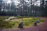 To największe kamienne kręgi w Polsce. Rezerwat Odry zaprasza. Poznaj moc kręgów sprzed dwóch tysięcy lat | ZDJĘCIA