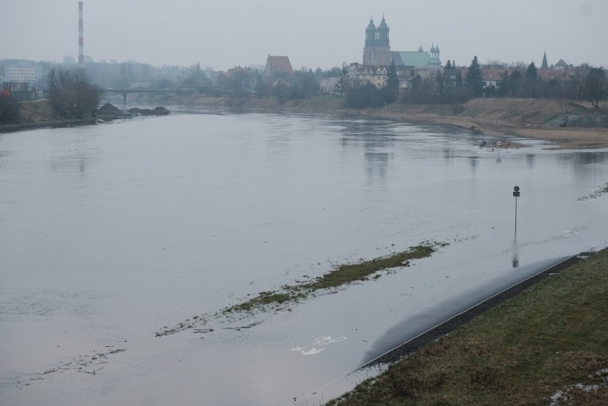 Wysoki poziom Warty i Cybiny w Poznaniu. Wartostrada zalana