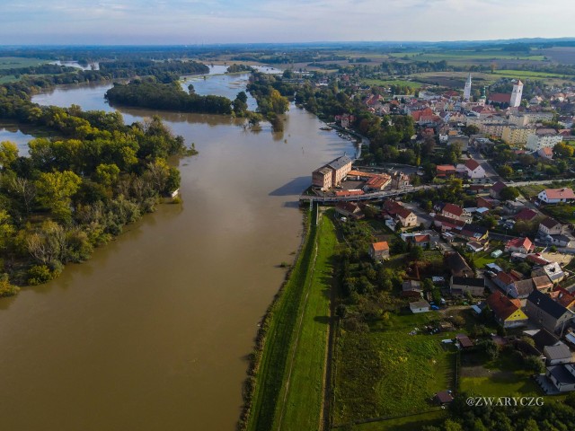 Odra w Bytomiu Odrzańskim, 20 października 2020 r.