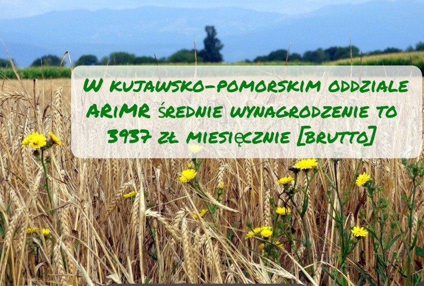 3937 zł brutto miesięcznie wynosiła na koniec 2018 roku...