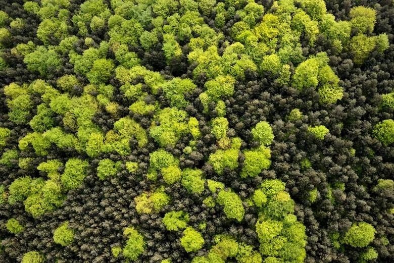 Tak wygląda Nowa Huta. Zobacz niesamowite zdjęcia z lotu ptaka 