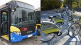 Autobusy MPK w Tarnowie za darmo, rower miejski też bez opłat. Takie okazje tylko w Dniu bez Samochodu