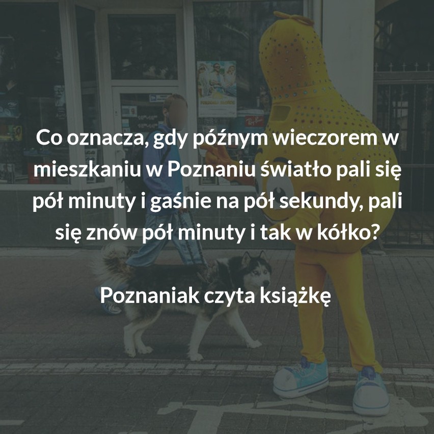Tak z Poznania i poznaniaków śmieje się Polska. Czy my sami...