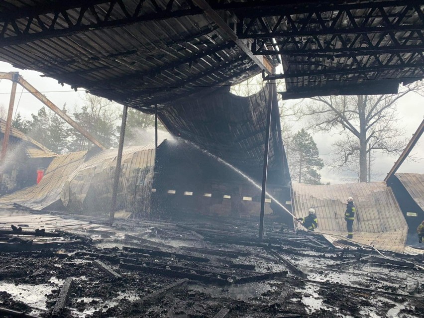 Ogromny pożar fermy drobiu w Ruskiej Wsi