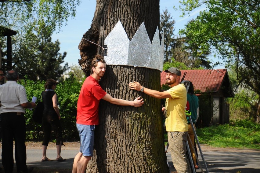 Kraków. Kolejny etap budowy Trasy Łagiewnickiej. Wycinają drzewa [WIZUALIZACJE, ZDJĘCIA]