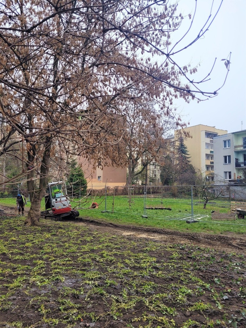 Ogród Ciszy i Ptasi Skwer w Parku Młynówka