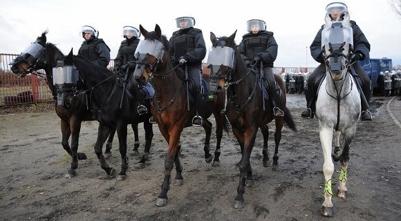 Policyjne konie musiały wykazać się odpornością na stresujące sytuacje.