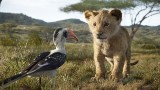 Wielki powrót „Króla Lwa” do kin: To kultowy film, który łączy pokolenia! Czy nową wersję pokochamy tak jak wersję animowaną?