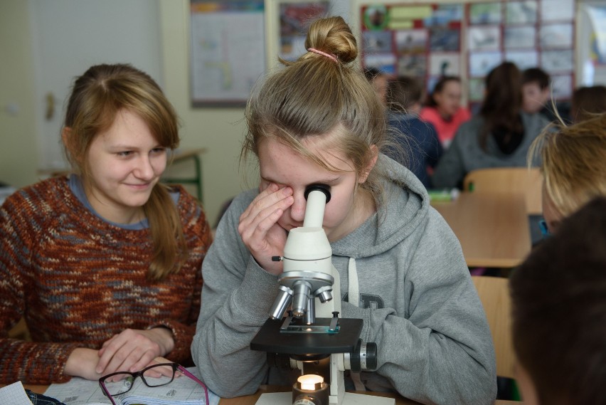 17.01.2017 torun gila nz/ lekkcja biologi w i gimnazjum o...