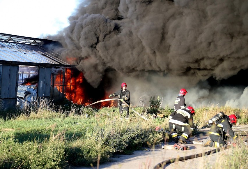 Warzymice: Pięć zastępów straży gasiło pożar szklarni [ZDJĘCIA, WIDEO]
