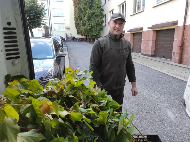 W sobotę mieszkańcy Skarżyska będą sadzić drzewka, podarowane przez Lasy Państwowe.