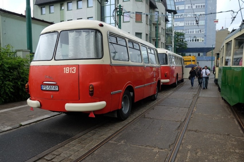 135 lat MPK Poznań: Wielka parada tramwajów i autobusów