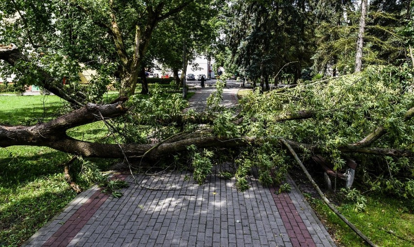 Piątkowa wichura nie ominęła także osiedla Leśnego. W...