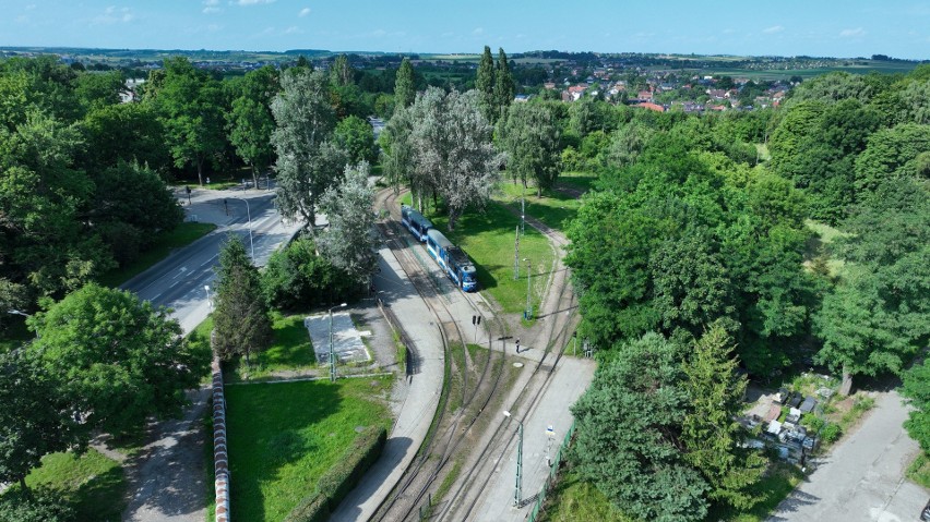 Kraków. Prawie 85 procent drzew zostanie wyciętych pod rozbudowę pętli tramwajowej Wzgórza Krzesławickie. Apel o korektę w projekcie