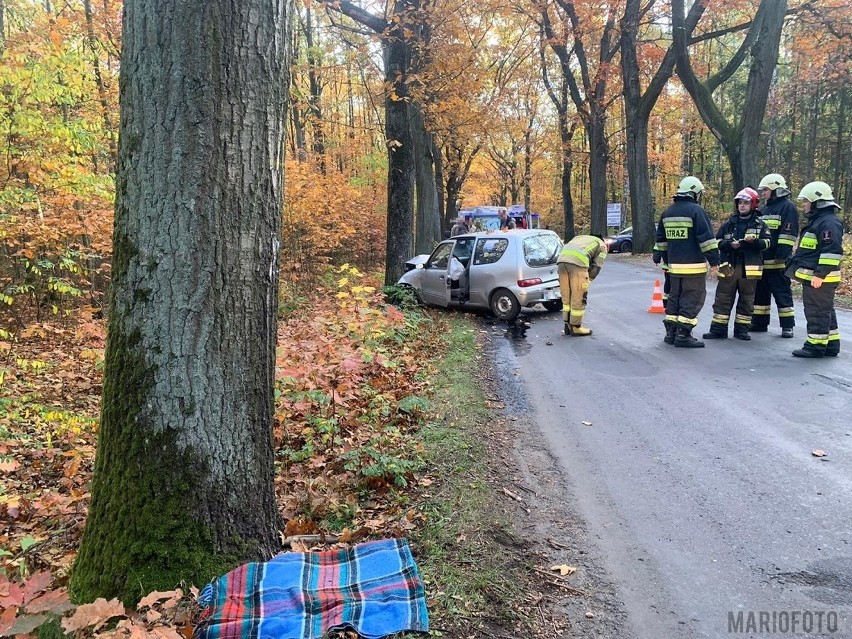 49-latka została ukarana mandatem. Na miejscu byli też...