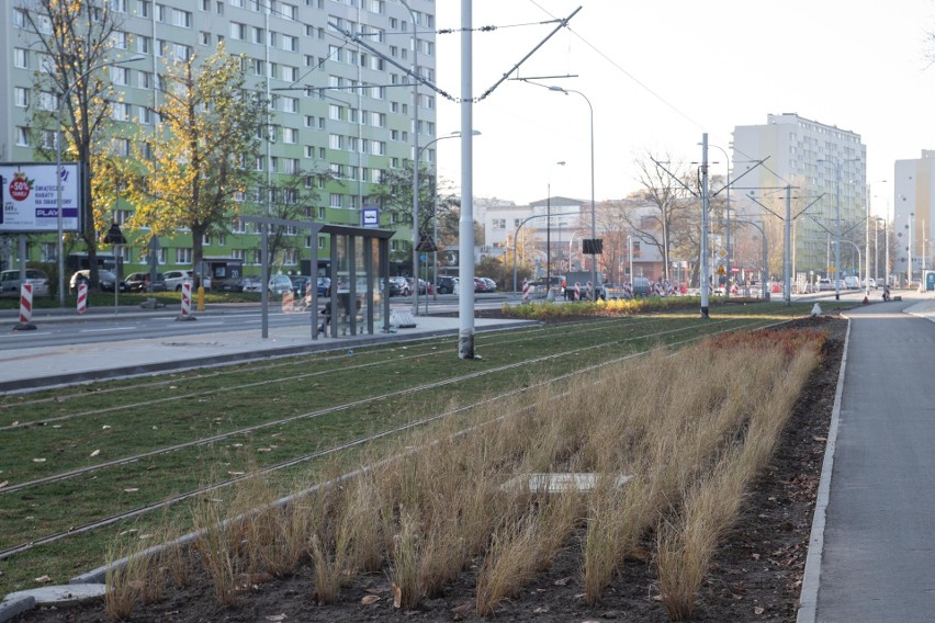 Na trasie tramwajowej na Popowice zrobiło się zielono. Ale...