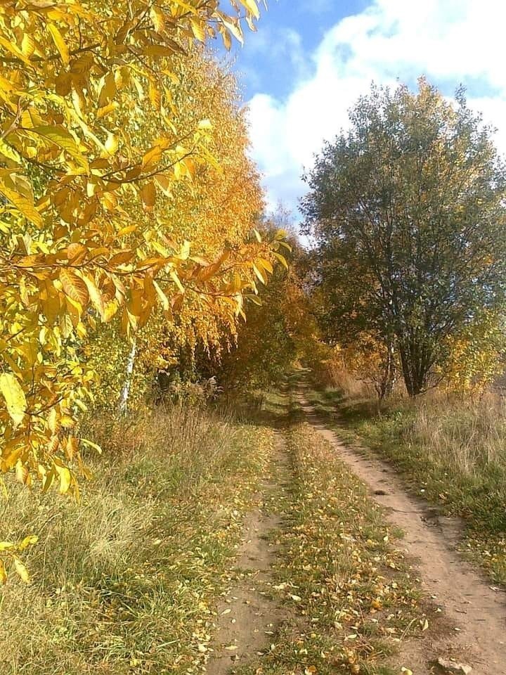Jesień na zdjęciach. Październik nie musi być zimny i deszczowy! Zobaczcie zdjęcia złotej polskiej jesieni na zdjęciach naszych czytelników