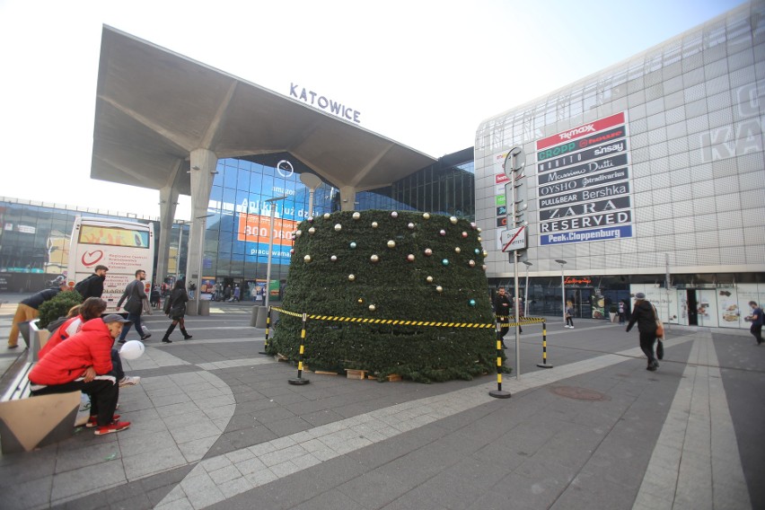 Katowice: stawiają choinkę na placu Szewczyka ZDJĘCIA