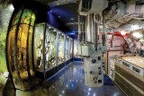 Ciężkowice. Muzeum buduje łódź podwodną do podglądania Białej