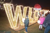 Świąteczne iluminacje 2019 we Włocławku kosztują ponad 200 tysięcy złotych