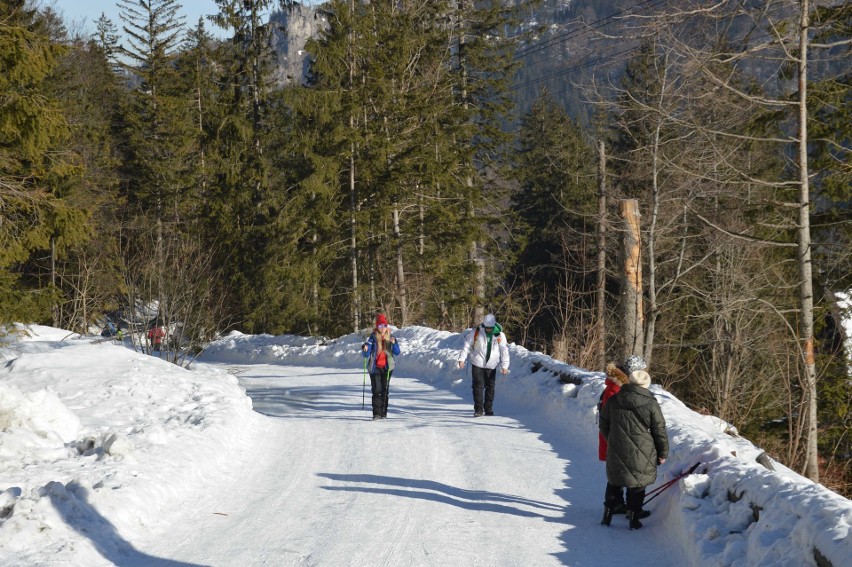 Tatry. Piękny dzień w górach. Tłumy szturmują Kasprowy Wierch [ZDJĘCIA]