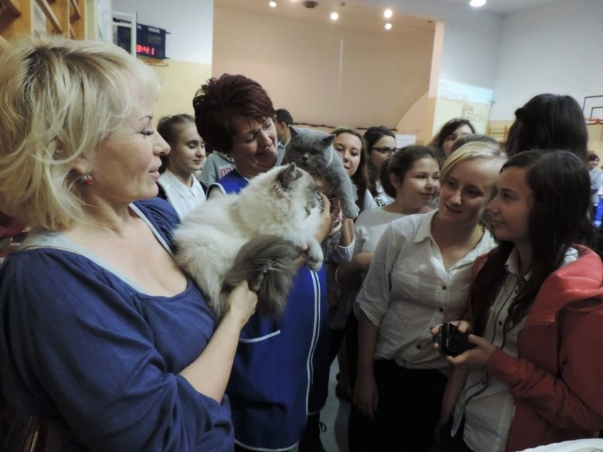 Giełda niezwykłych pasji w Złotnikach Kujawskich