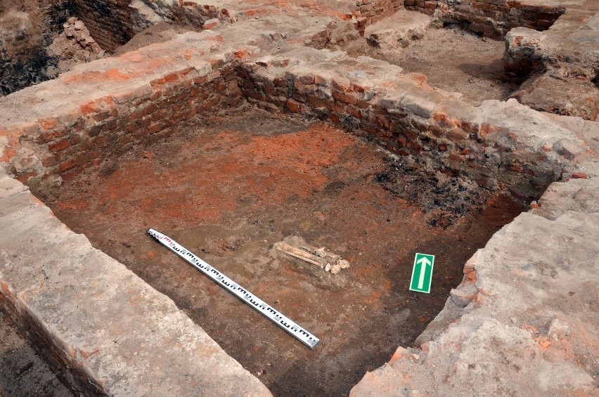 Racibórz: Szkielety skazańców archeolodzy odkryli przy rynku