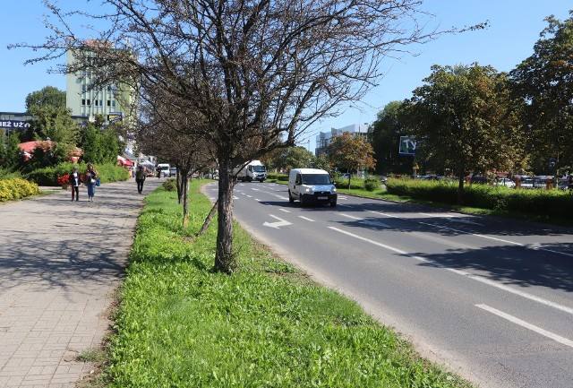 Wzdłuż ulicy Prażmowskiego w Radomiu powstanie droga dla rowerów w ramach tegorocznego Budżetu Obywatelskiego.