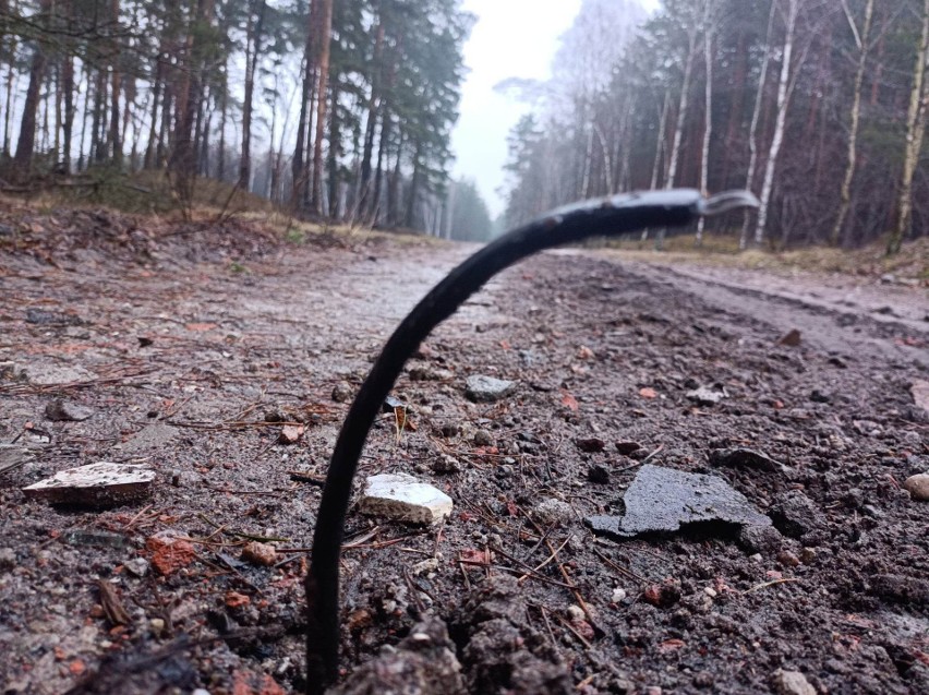 Plastikowa droga w lesie - kto użył zanieczyszczonego gruzu 