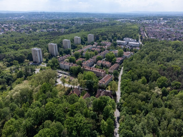 Las Borkowski w Krakowie, a w nim osiedle niskich trzypiętrowych domów/bloków, rząd wysokich bloków na południu i najświeższa zabudowa, o którą było sporo szumu - białe bloki w oddali, które przecięły dwie części lasu. Pięknie tu mają...