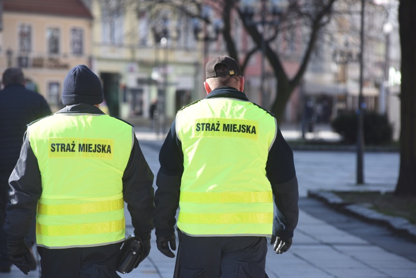 Straż Miejska ma węższe uprawnienia niż policja, co nie...