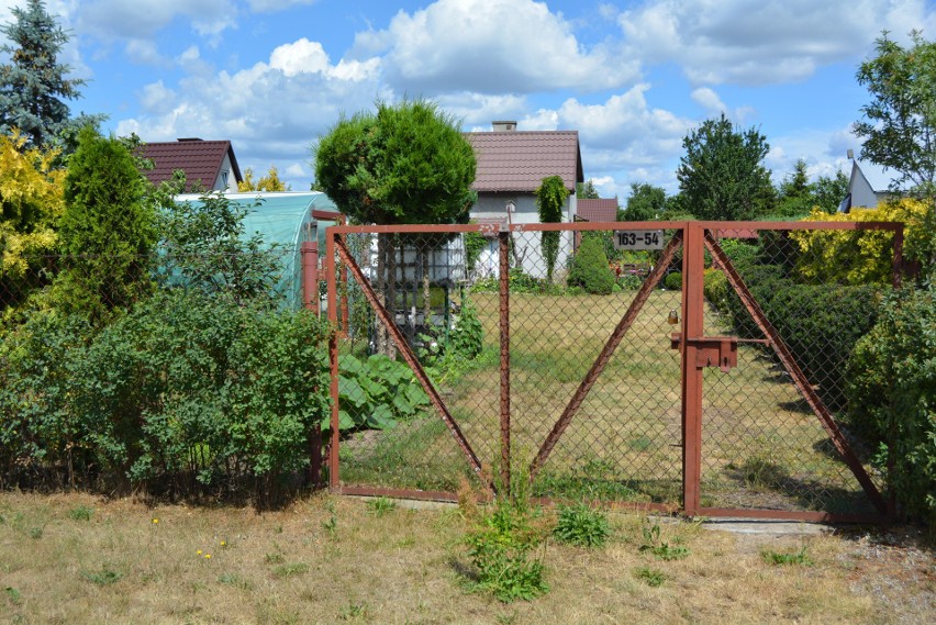 Ogródki działkowe w Czarnowcu. Zobacz jak mieszkańcy gminy zagospodarowali swoje działki. 6.07.2022