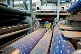 Budowa maszyny papierniczej Stora Enso to obecnie największy zakład pracy w regionie. Zobacz zdjęcia