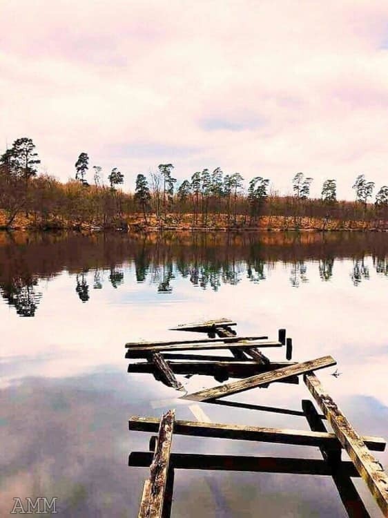 Jezioro w gminie Kłodawa w obiektywie Ani Teklak