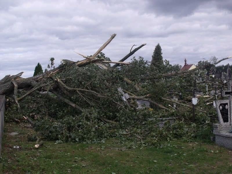Drzewo przewróciło się niszcząc kilkanaście grobów