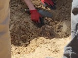 Po trzech latach  naszej walki z urzędami, doprowadziliśmy do ekshumacji grobów pod Korycinem (zdjęcia)