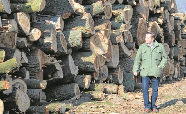 Głogów. Sprzedają drewno spod S3Jak poinformował Dariusz Zajączkowski, drewno należące do GDDKiA jest obecnie liczone.