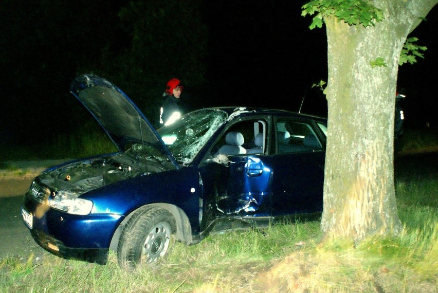 Wypadek pod Rogowem. Samochód wjechał w drzewo, ranny mężczyzna