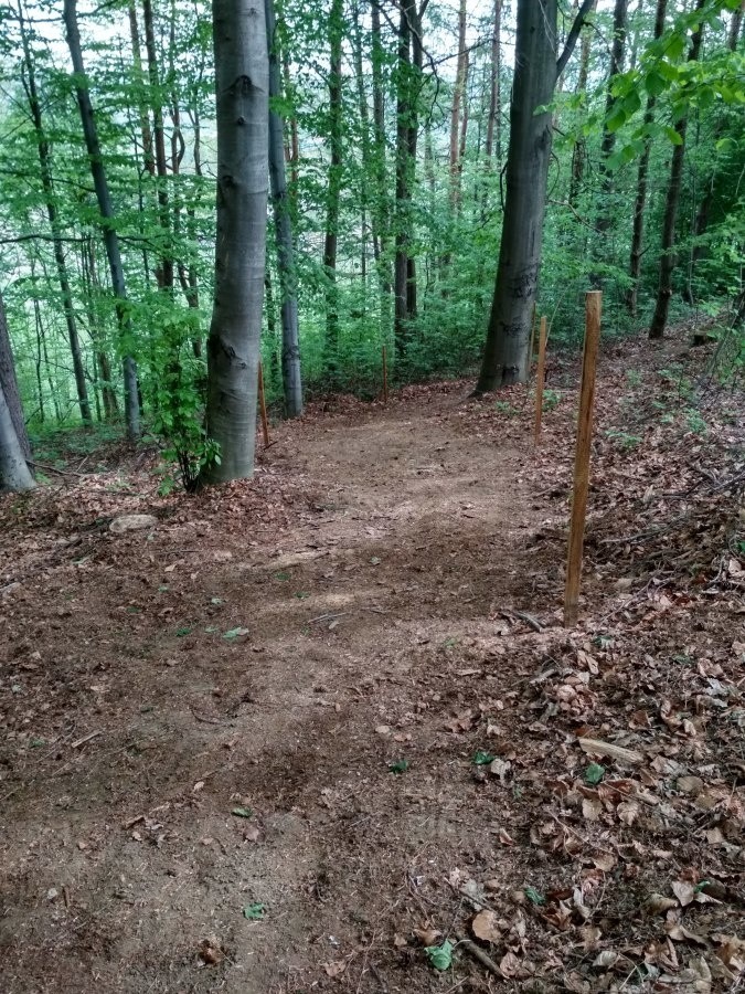 Siepraw. Z góry na dół. Znów do góry i... hooop!: powstaje trasa MTB