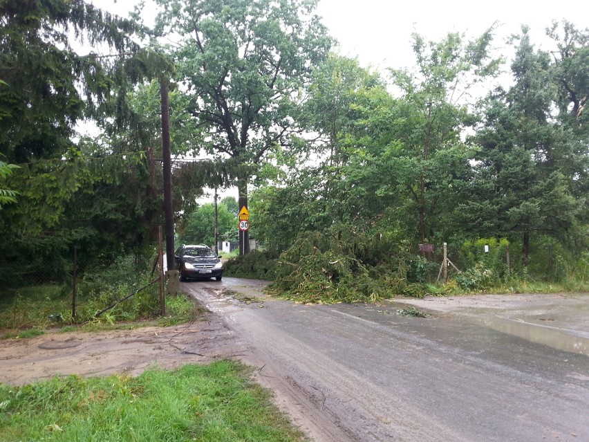 Burza w Łodzi. Nawałnica nad Łodzią. Powalone drzewa, gałęzie na drogach, zalane ulice [ZDJĘCIA]