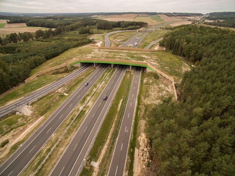 Przejście dla zwierząt nad drogą S3, na odcinku Nowa Sól -...