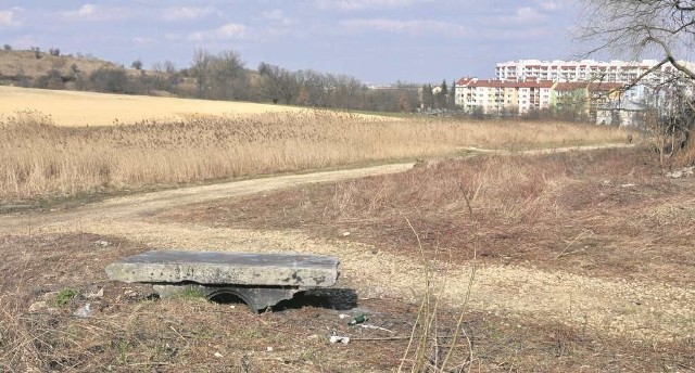 Naziści, likwidując KL Plaszow, rozsypali tu prochy tysięcy ofiar. Dziś to miejsce zaniedbane i zaśmiecone.