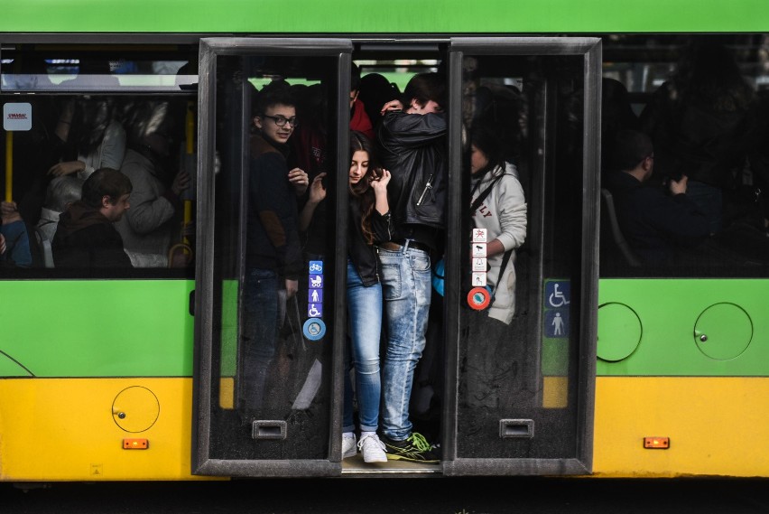 Od września 2018 roku z darmowej komunikacji będą korzystać...