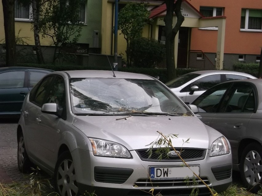 Wrocław: Drzewo przygniotło samochody na parkingu przy Rogowskiej (ZDJĘCIA)