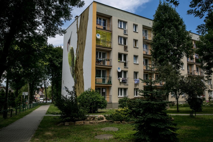 Kraków. Piękny mural na Kozłówku. Spółdzielnia zapowiada...