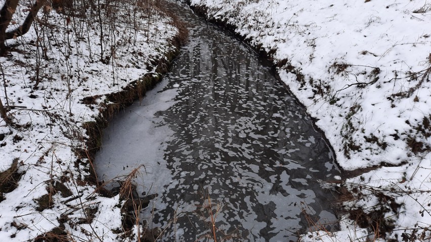 Zanieczyszczenia w Potoku Olszanickim